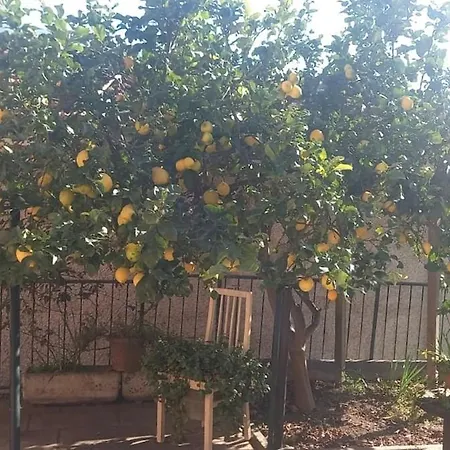 Ca Di Anto,giardino E Bbq * Chiavari